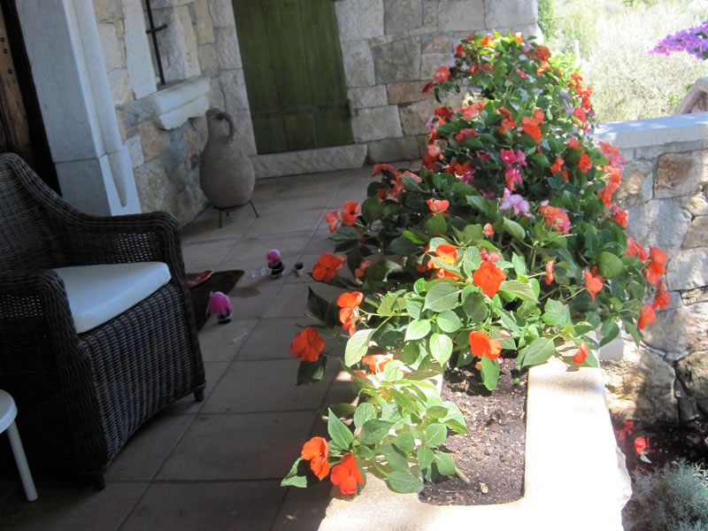 Flowers by the front porch of La Bastide